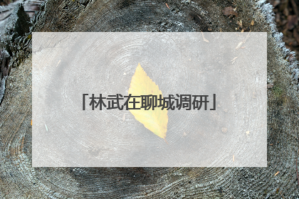 林武在聊城调研
