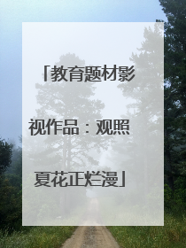 教育题材影视作品：观照夏花正烂漫