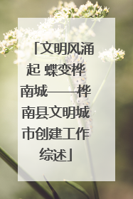 文明风涌起 蝶变桦南城——桦南县文明城市创建工作综述