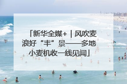 新华全媒+｜风吹麦浪好“丰”景——多地小麦机收一线见闻