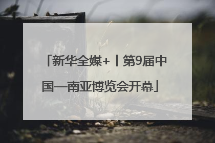 新华全媒+丨第9届中国—南亚博览会开幕