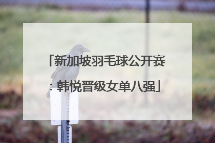 新加坡羽毛球公开赛：韩悦晋级女单八强