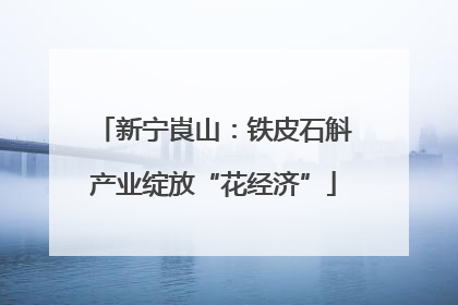 新宁崀山：铁皮石斛产业绽放“花经济”