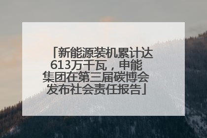 新能源装机累计达613万千瓦，申能集团在第三届碳博会发布社会责任报告