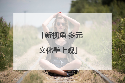 新视角 多元文化壁上观