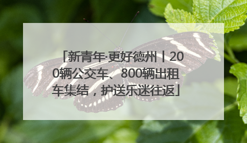 新青年·更好德州丨200辆公交车、800辆出租车集结，护送乐迷往返