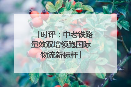 时评：中老铁路量效双增领跑国际物流新标杆