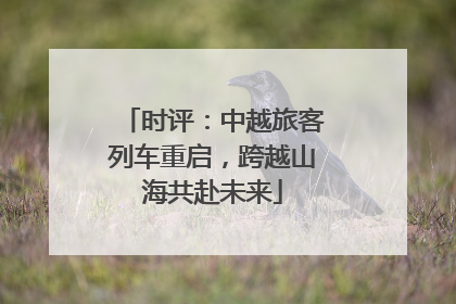 时评：中越旅客列车重启，跨越山海共赴未来