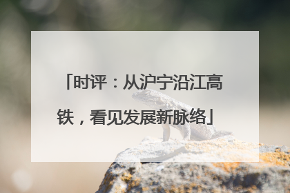 时评：从沪宁沿江高铁，看见发展新脉络