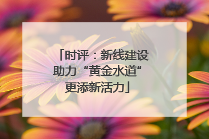 时评：新线建设助力“黄金水道”更添新活力