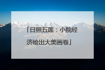 日照五莲：小院经济绘出大美画卷