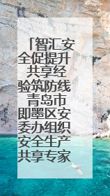 智汇安全促提升 共享经验筑防线 青岛市即墨区安委办组织安全生产共享专家现场观摩学习活动