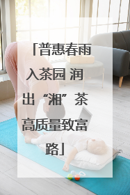 普惠春雨入茶园 润出“湘”茶高质量致富路