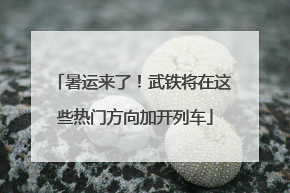 暑运来了！武铁将在这些热门方向加开列车