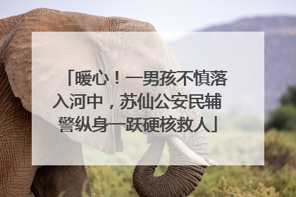 暖心！一男孩不慎落入河中，苏仙公安民辅警纵身一跃硬核救人