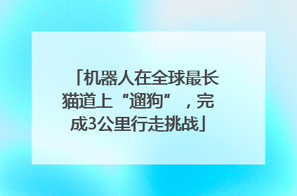 机器人在全球最长猫道上“遛狗”，完成3公里行走挑战