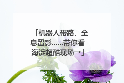 机器人带路、全息留影……带你看海淀超酷现场→