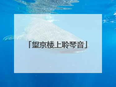 望京楼上聆琴音