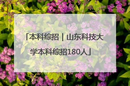 本科综招｜山东科技大学本科综招180人