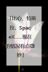 比心、特斯拉、SpaceX……现在的情况有点微妙