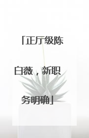 正厅级陈白薇，新职务明确