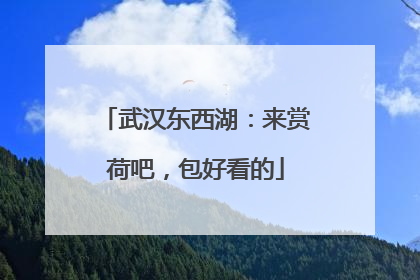 武汉东西湖：来赏荷吧，包好看的