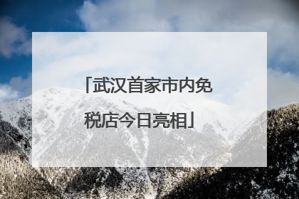 武汉首家市内免税店今日亮相
