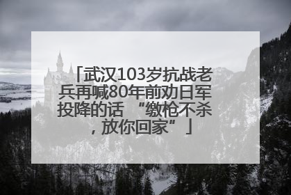 武汉103岁抗战老兵再喊80年前劝日军投降的话 “缴枪不杀，放你回家”