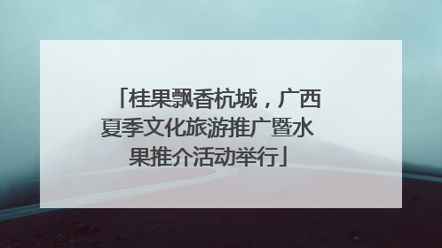 桂果飘香杭城，广西夏季文化旅游推广暨水果推介活动举行