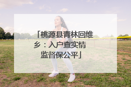 桃源县青林回维乡：入户查实情 监督保公平