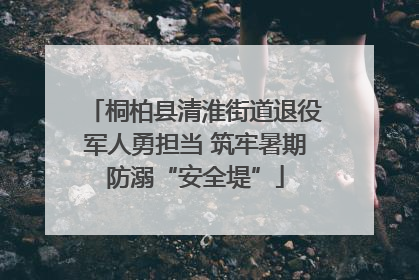 桐柏县清淮街道退役军人勇担当 筑牢暑期防溺“安全堤”