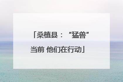 桑植县：“猛兽”当前 他们在行动