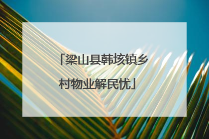 梁山县韩垓镇乡村物业解民忧