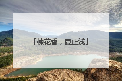 楝花香，夏正浅