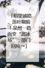榕果铺路、落叶糊脸！泉州一路面变“溜冰场”，部门回应→
