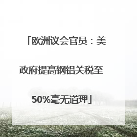 欧洲议会官员：美政府提高钢铝关税至50%毫无道理