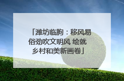 潍坊临朐：移风易俗劲吹文明风 绘就乡村和美新画卷