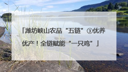 潍坊峡山农品“五链”③优养优产！全链赋能“一只鸡”