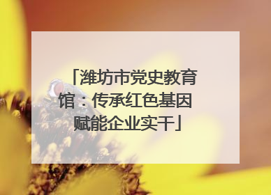 潍坊市党史教育馆：传承红色基因 赋能企业实干
