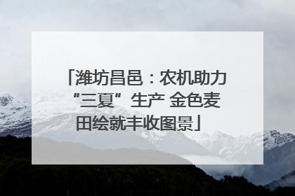 潍坊昌邑：农机助力“三夏”生产 金色麦田绘就丰收图景