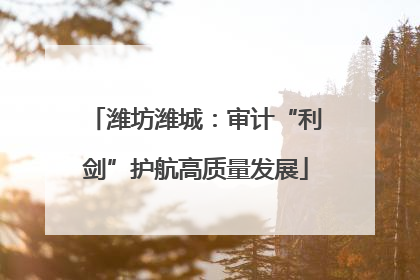 潍坊潍城：审计“利剑”护航高质量发展
