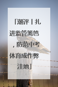 潮评丨扎进监管篱笆，防范中考体育成作弊洼地