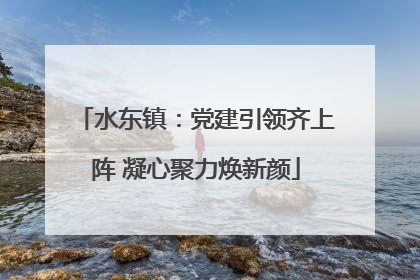 水东镇：党建引领齐上阵 凝心聚力焕新颜
