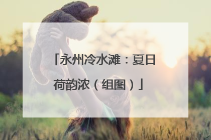 永州冷水滩：夏日荷韵浓（组图）
