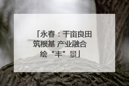 永春：千亩良田筑根基 产业融合绘“丰”景