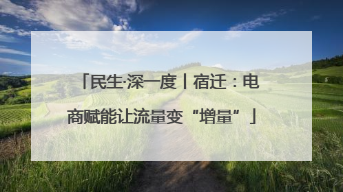 民生·深一度丨宿迁：电商赋能让流量变“增量”