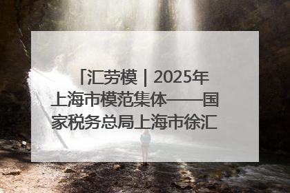 汇劳模｜2025年上海市模范集体——国家税务总局上海市徐汇区税务局第一税务所