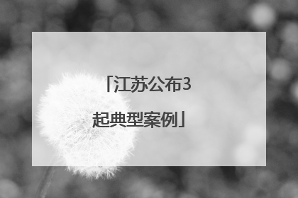 江苏公布3起典型案例