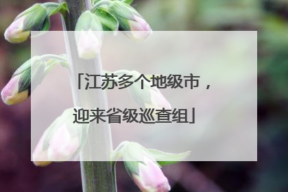 江苏多个地级市，迎来省级巡查组