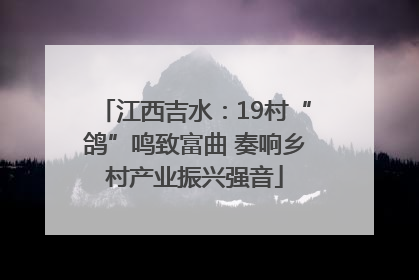 江西吉水：19村“鸽”鸣致富曲 奏响乡村产业振兴强音